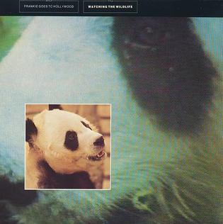 Watching the Wildlife — Frankie Goes to Hollywood
